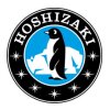 Hoshizaki Eiswürfelbereiter IM-65PE steckerfertig